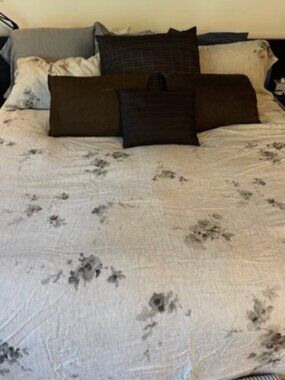 Anthropologie accent pillows